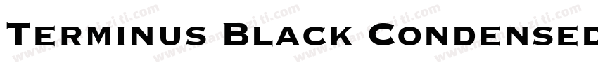 Terminus Black Condensed SSi Black字体转换